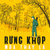 Rừng Khộp Mùa Thay Lá