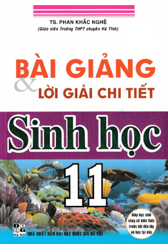 Bài Giảng Và Lời Giải Chi Tiết Sinh Học 11