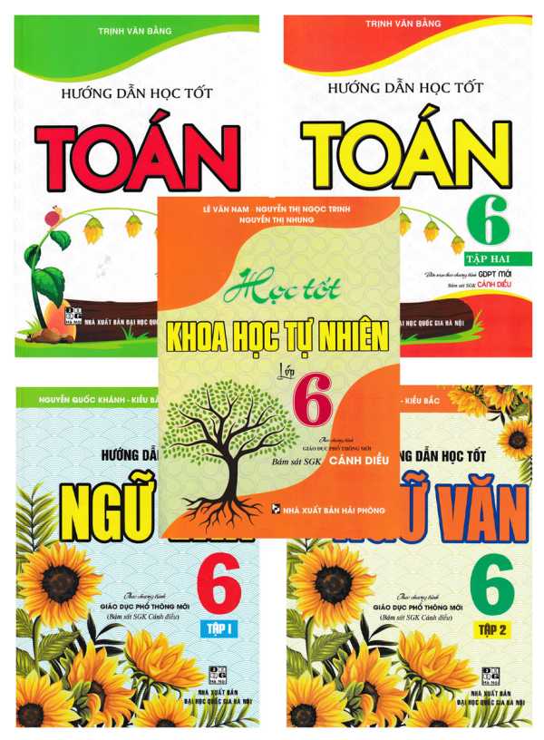 Combo Bộ Sách Tham Khảo Toán - Văn - Khoa Học Tự Nhiên Lớp 6 (Bám Sát SGK Cánh Diều) (Bộ 5 Cuốn)