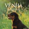 ve-nha-a-dogs-way-home