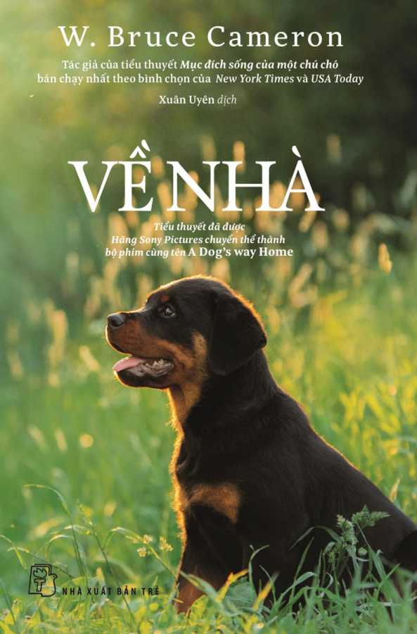 ve-nha-a-dogs-way-home