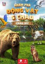 Khám Phá Động Vật 5 Châu - Châu Mỹ