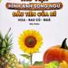 Thư Viện Hình Ảnh Song Ngữ Đầu Tiên Của Bé - Hoa - Rau - Củ - Quả