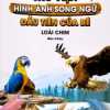 Thư Viện Hình Ảnh Song Ngữ Đầu Tiên Của Bé - Loài Chim