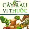 Cây Rau Vị Thuốc - Tập 1